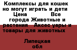 Комплексы для кошек, но могут играть и дети › Цена ­ 11 900 - Все города Животные и растения » Аксесcуары и товары для животных   . Липецкая обл.,Липецк г.